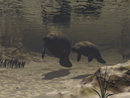 Under Water
