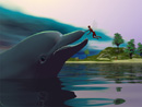 A Whale